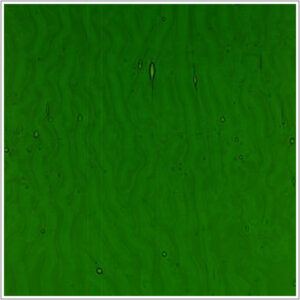 0323-0085