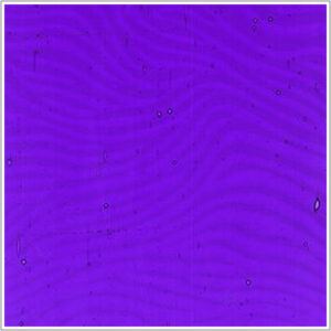 0325-0085