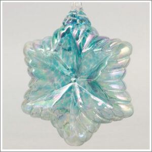 Aqua Vintage Star