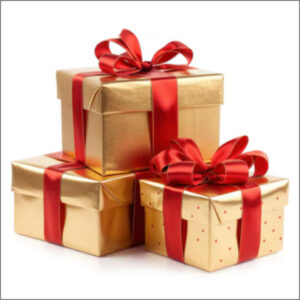 Holiday Gift Guide 2025