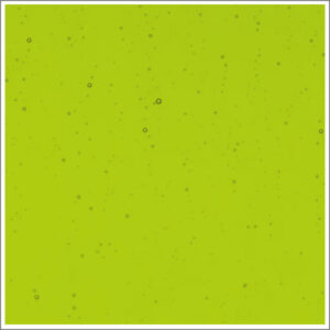 Bullseye Spring Green Transparent Double Rolled 90 C.O.E. Glass (001426-0030)