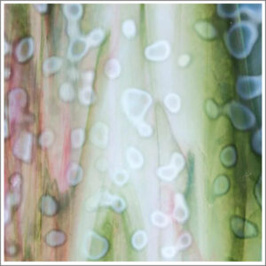 Bullseye White, Olive Green, Gold Pink Ring Mottle Glass (006343-0000)